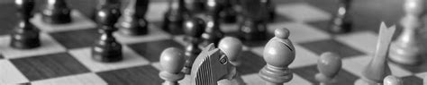 shredder chess opening database.